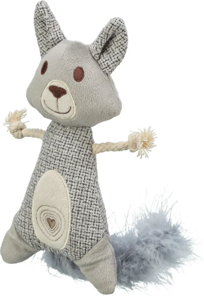 Waschbär XXL